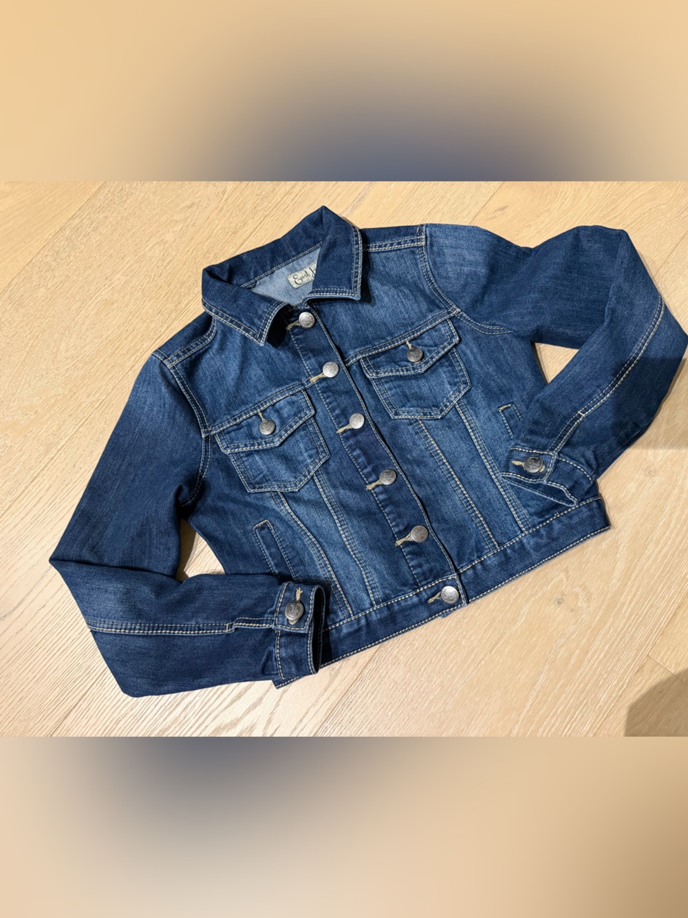 Vintage Y2K Earl Jean Dark Denim Jacket